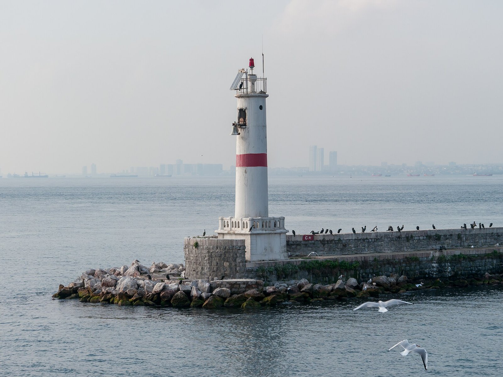 Ein weiß-roter Leuchtturm auf einer Mole im Marmarameer, Möwen und Kormorane